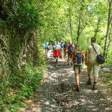 1 Bedroom Beautiful In *