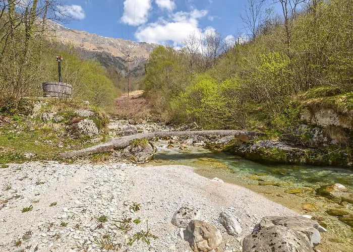 1 Bedroom Beautiful In *